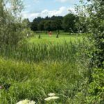 IMG-20240718-WA0014